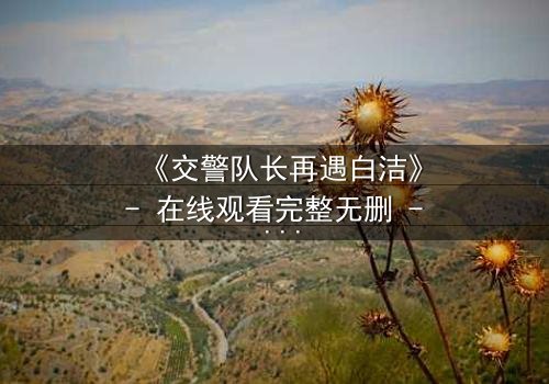 《交警队长再遇白洁》- 在线观看完整无删 - 命运重逢,正义与救赎的终极对决