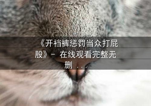 《开裆裤惩罚当众打屁股》- 在线观看完整无删 - 一场羞耻与救赎的终极考验