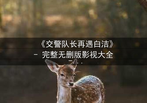 《交警队长再遇白洁》- 完整无删版影视大全 - 命运重逢引爆情感风暴