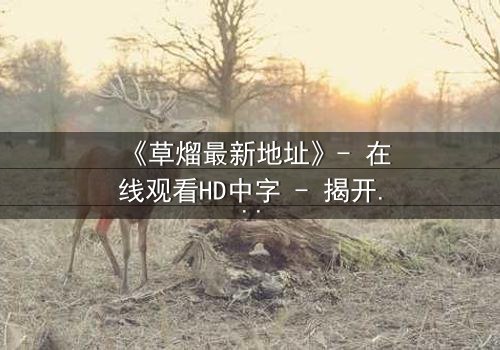 《草熘最新地址》- 在线观看HD中字 - 揭开隐藏的真相,你敢点开吗?