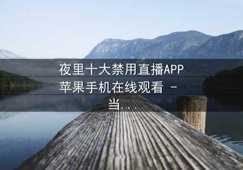 夜里十大禁用直播APP苹果手机在线观看 - 当黑暗直播吞噬理智,你敢点开第几集?