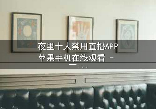 夜里十大禁用直播APP苹果手机在线观看 - 一场关于欲望与救赎的午夜直播