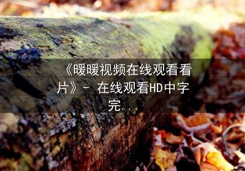 《暖暖视频在线观看看片》- 在线观看HD中字完整无删 - 一场跨越时空的救赎之旅