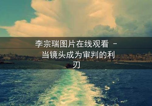 李宗瑞图片在线观看 - 当镜头成为审判的利刃