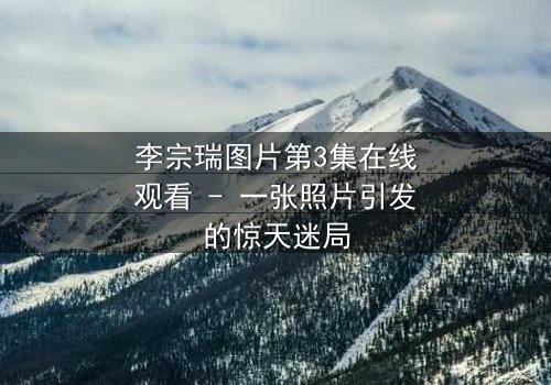 李宗瑞图片第3集在线观看 - 一张照片引发的惊天迷局