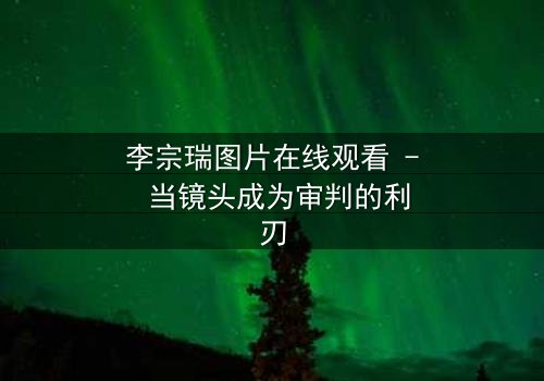 李宗瑞图片在线观看 - 当镜头成为审判的利刃