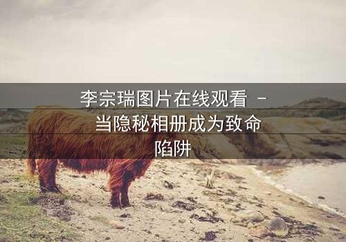 李宗瑞图片在线观看 - 当隐秘相册成为致命陷阱