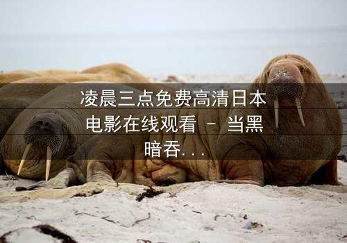 凌晨三点免费高清日本电影在线观看 - 当黑暗吞噬理智,谁能逃脱命运的诅咒?