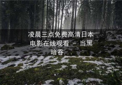 凌晨三点免费高清日本电影在线观看 - 当黑暗吞噬希望,谁能唤醒沉睡的灵魂?