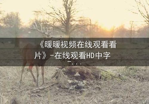 《暖暖视频在线观看看片》-在线观看HD中字 - 揭开一段被遗忘的真相