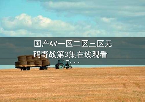 国产AV一区二区三区无码野战第3集在线观看 - 一场禁忌的野外生存游戏,谁能全身而退?