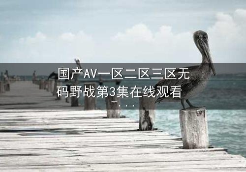 国产AV一区二区三区无码野战第3集在线观看 - 揭秘禁忌之恋的终极代价