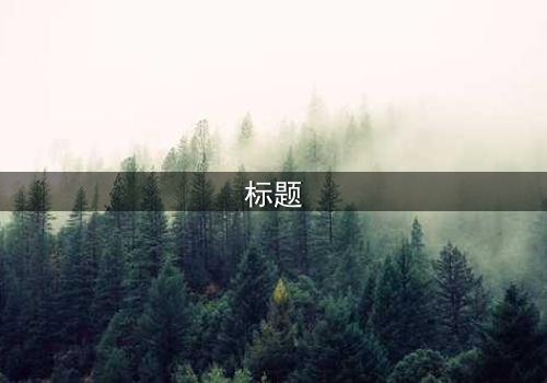 标题