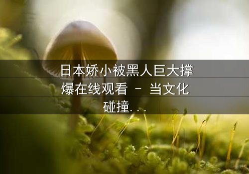 日本娇小被黑人巨大撑爆在线观看 - 当文化碰撞撕裂情感边界