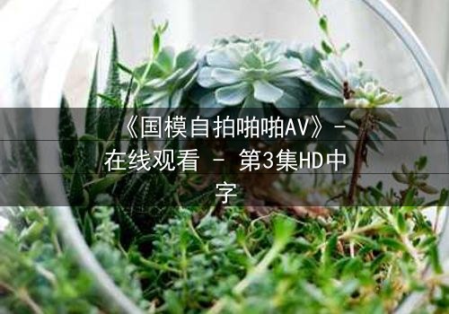 《国模自拍啪啪AV》-在线观看 - 第3集HD中字